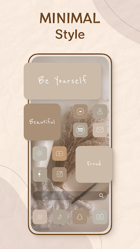 Theme, Widget & Icon changer