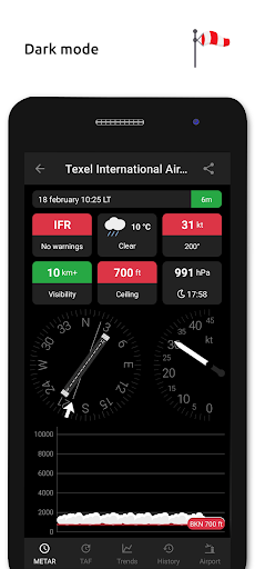 Metar-Taf - Visual decoder