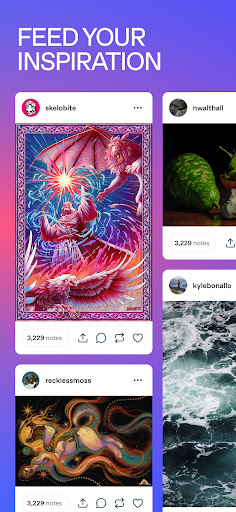 Tumblr: Social Media & Art