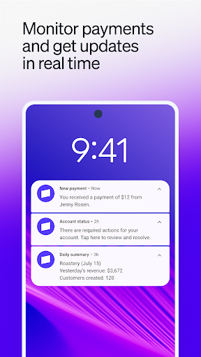 Stripe Dashboard