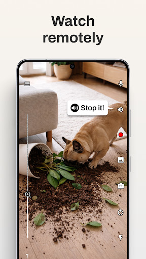 Camy — Live Video CCTV
