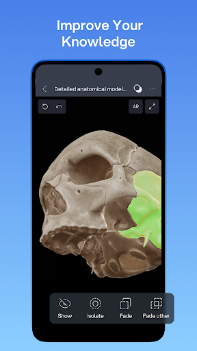 VOKA 3D Anatomy and Physiology