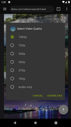 Video Downloader Pro
