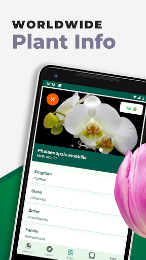 PlantSnap: Plant Identifier
