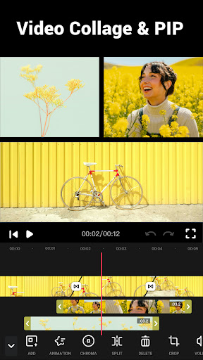 Video Maker