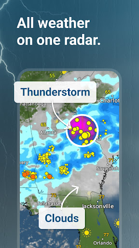 Weather & Radar Forecast