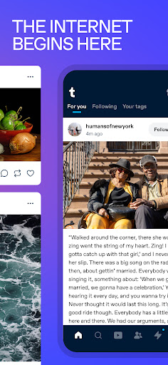 Tumblr: Social Media & Art