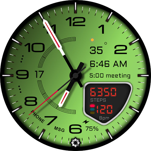 D355 Premium Watch Face