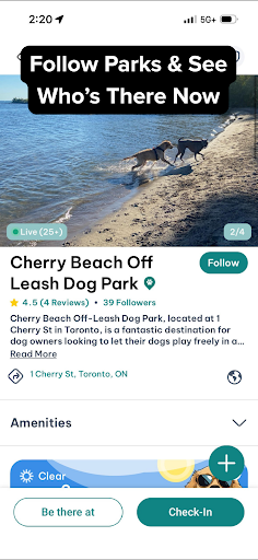 DogPack: Dog Friendly Spots