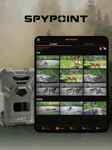 SPYPOINT
