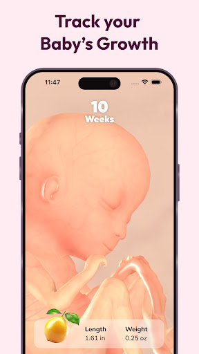 WeMoms Pregnancy Baby Tracker