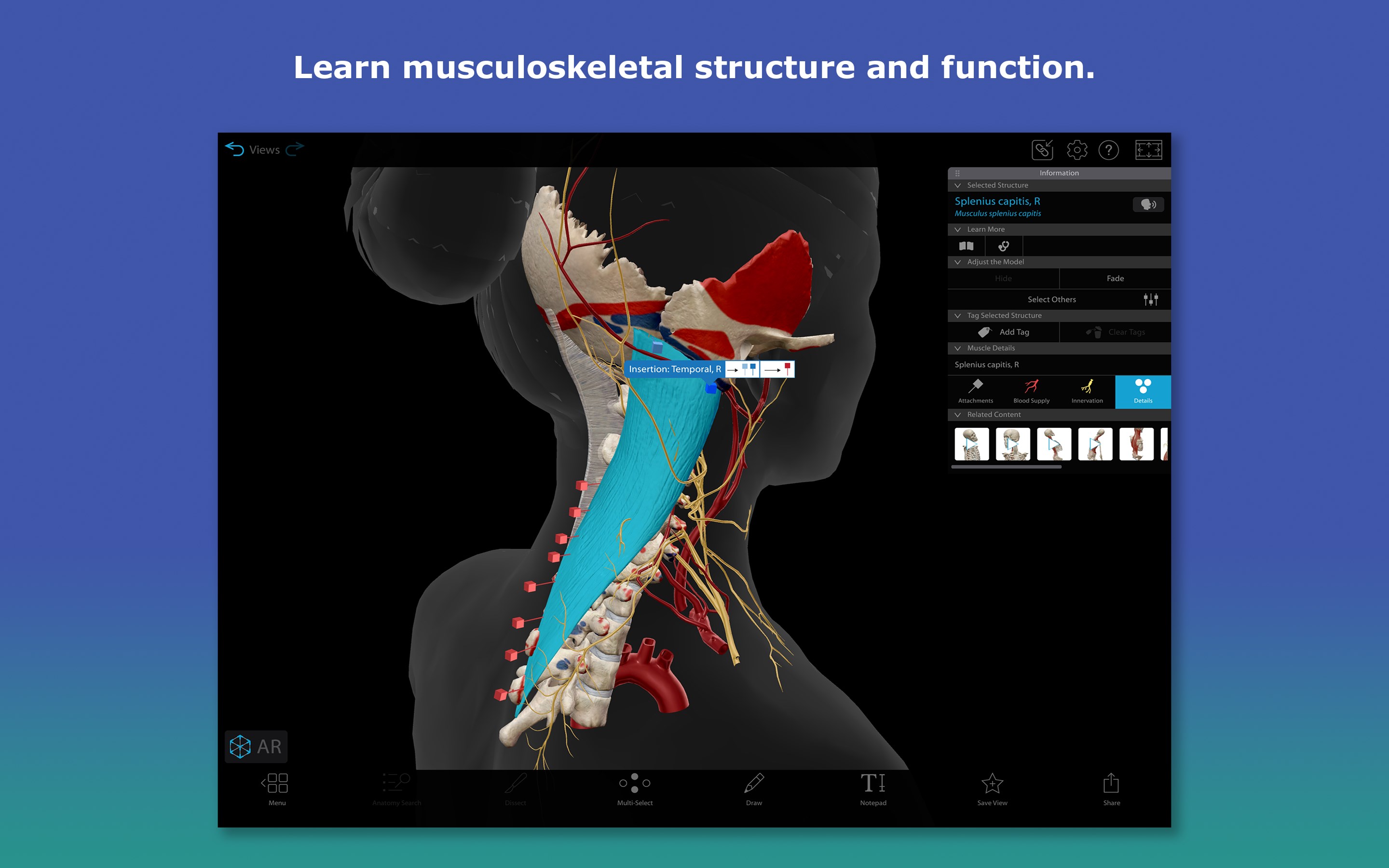 Human Anatomy Atlas 2026: Complete 3D Human Body