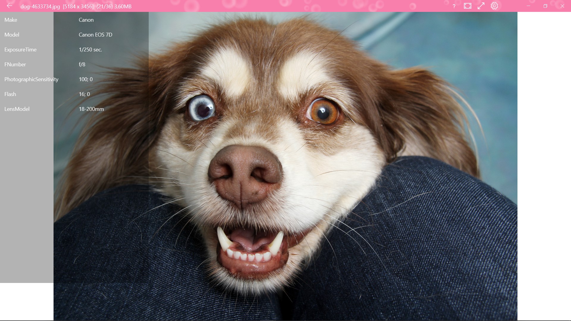 123 Photos: View, Edit & Convert