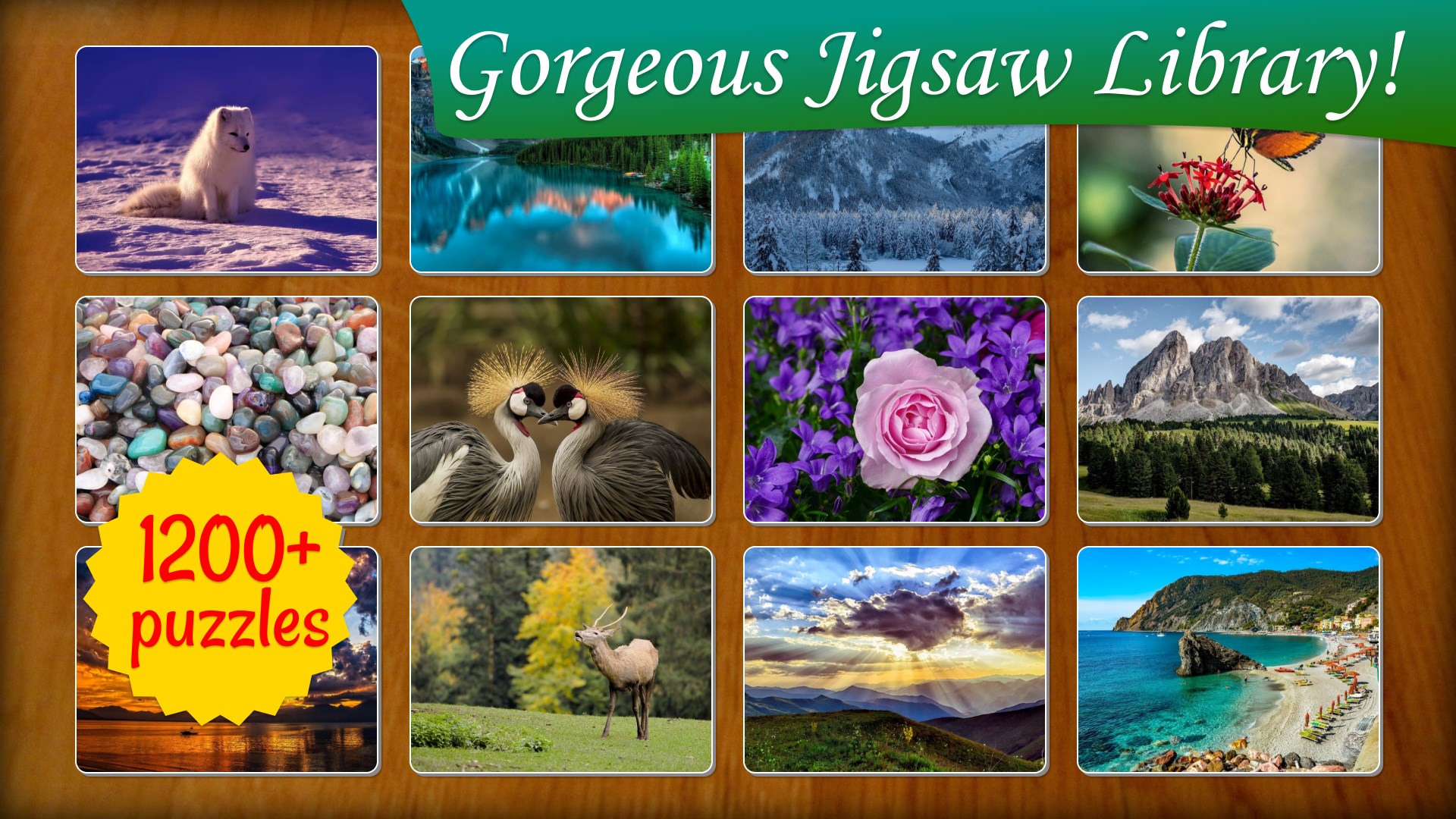 Jigsaw Puzzle Nature