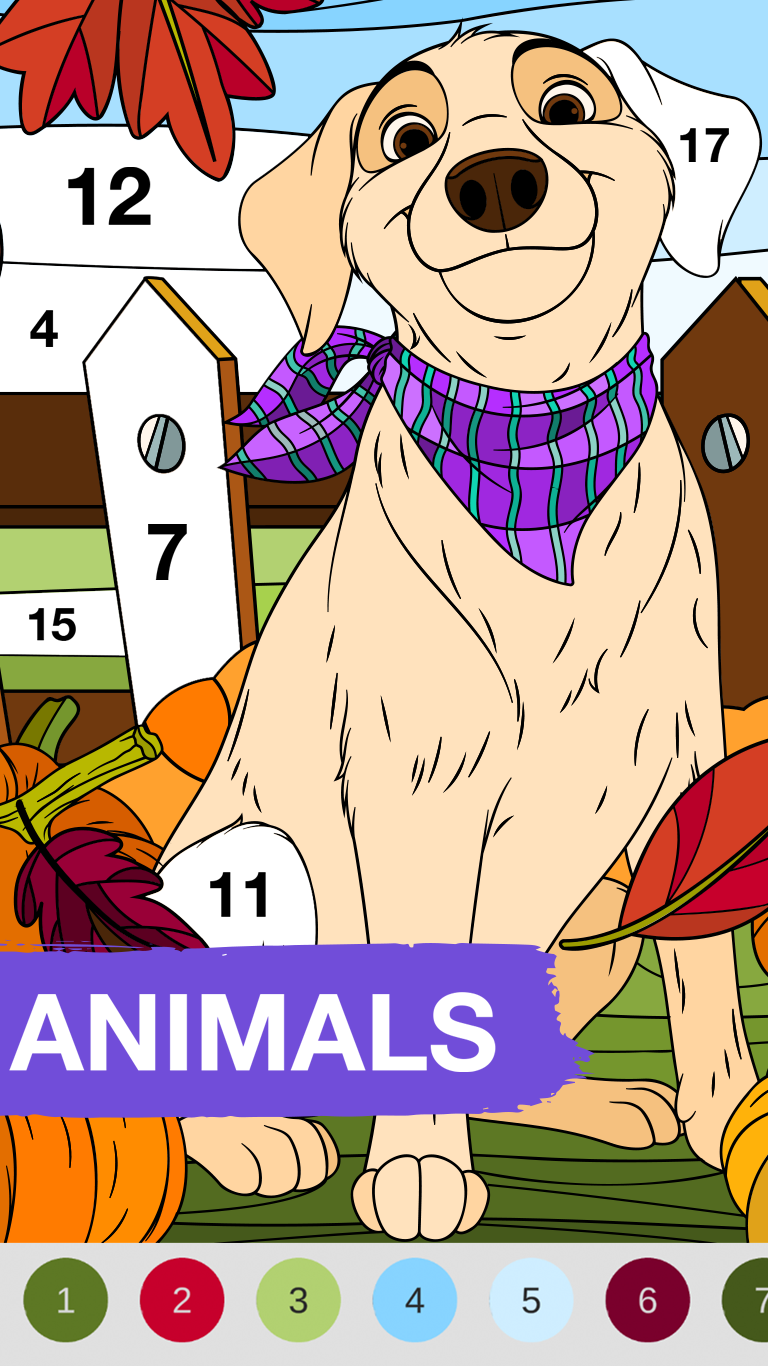 Art Book: Paint Color by Number