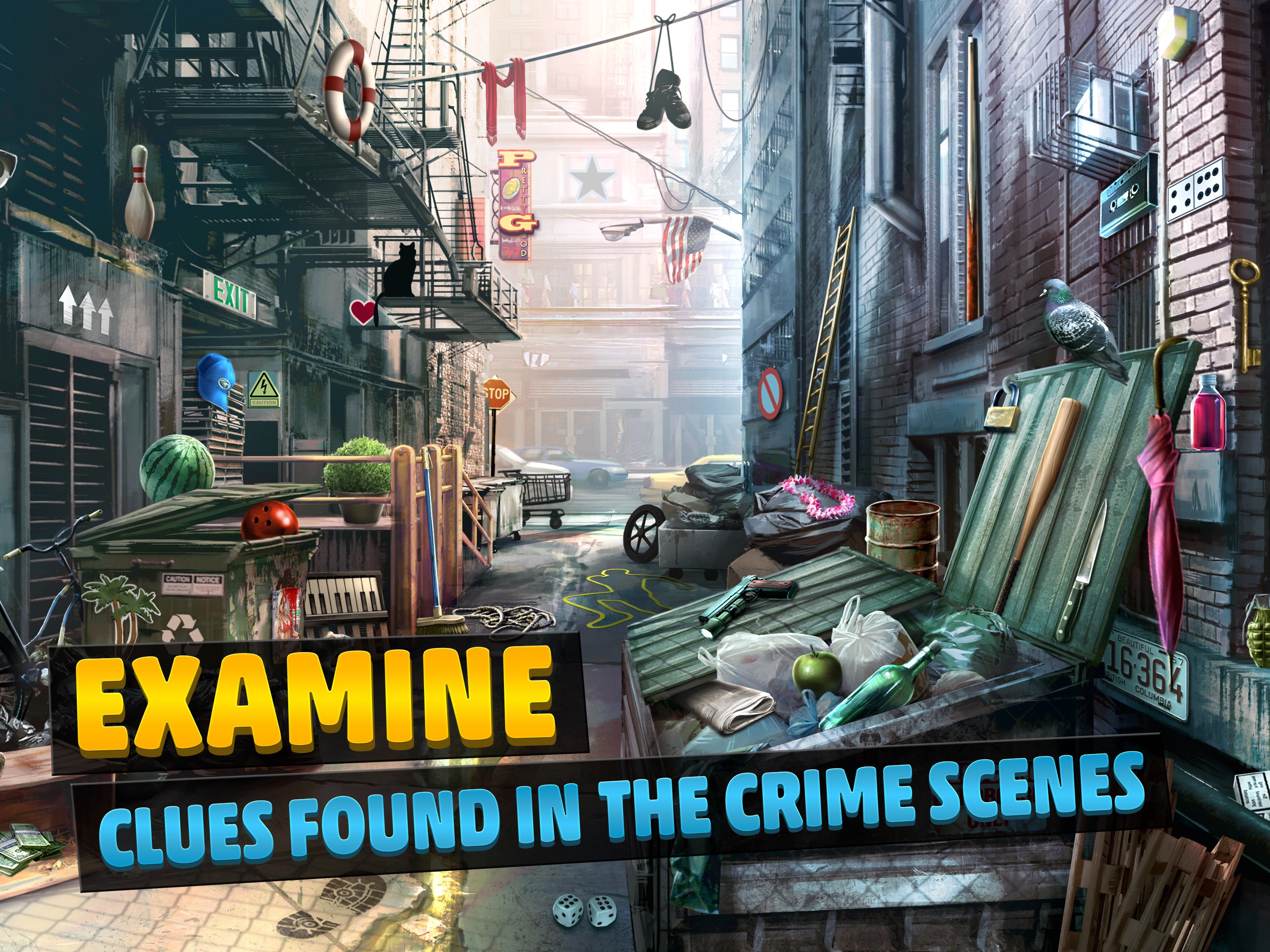 Criminal Case