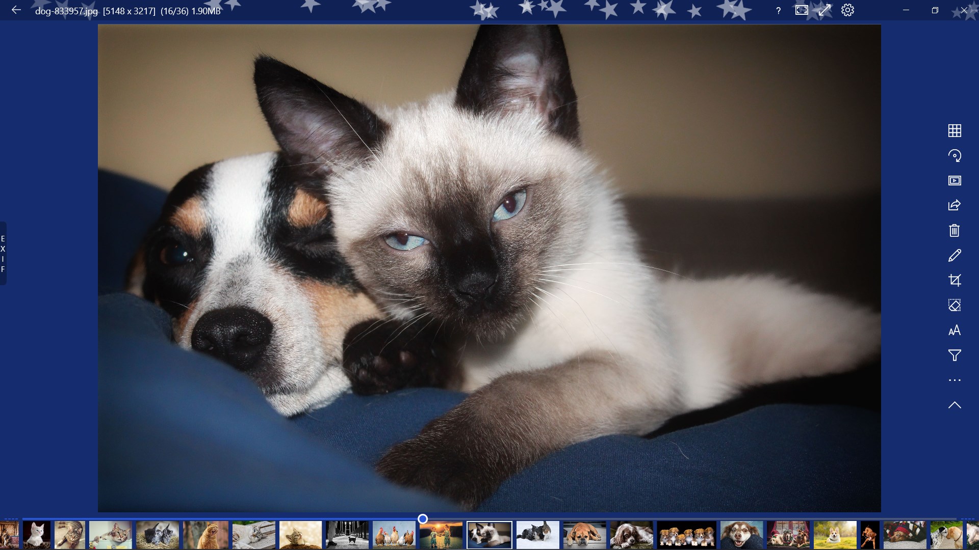 123 Photos: View, Edit & Convert