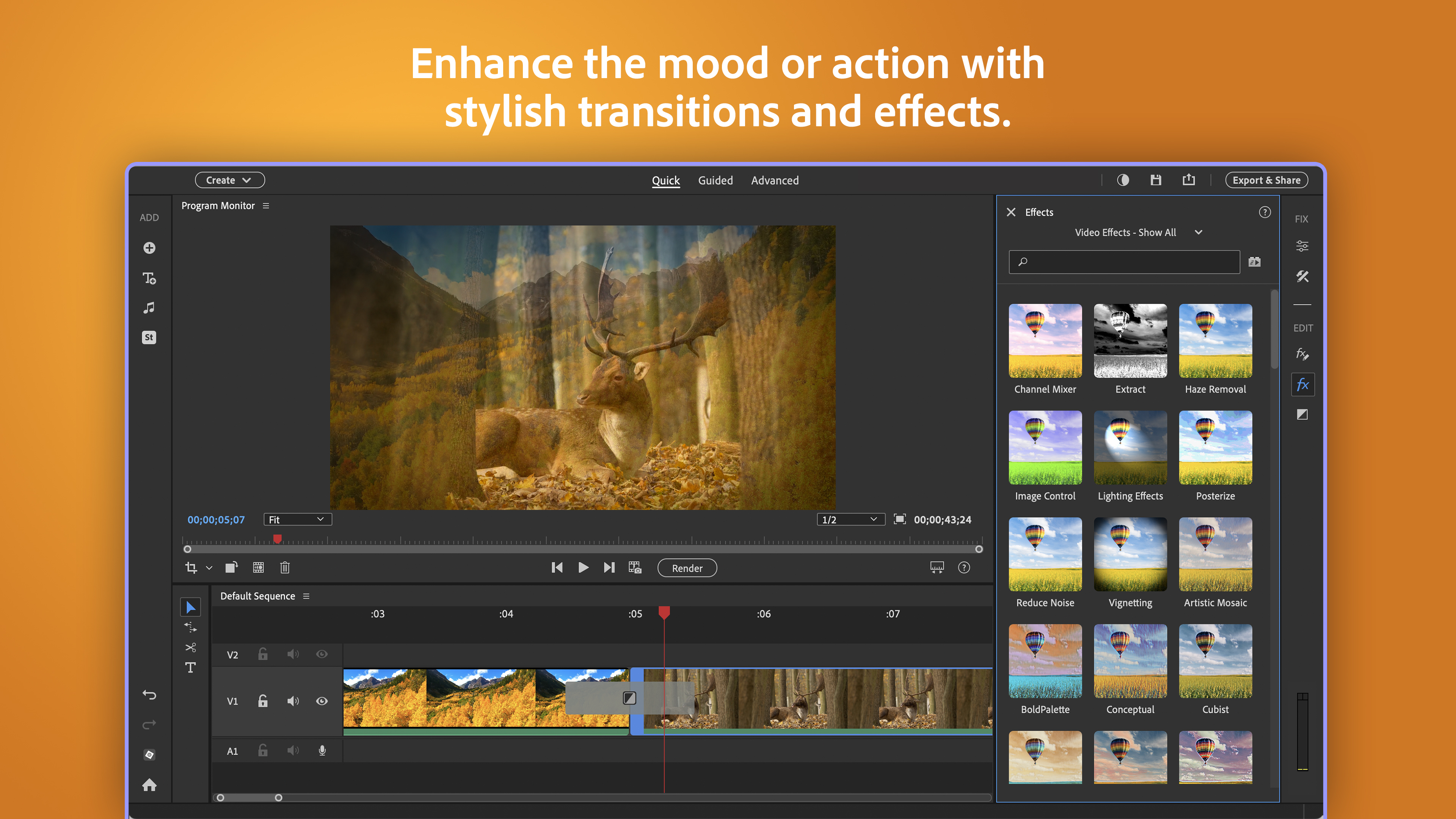 Adobe Photoshop Elements & Premiere Elements 2026