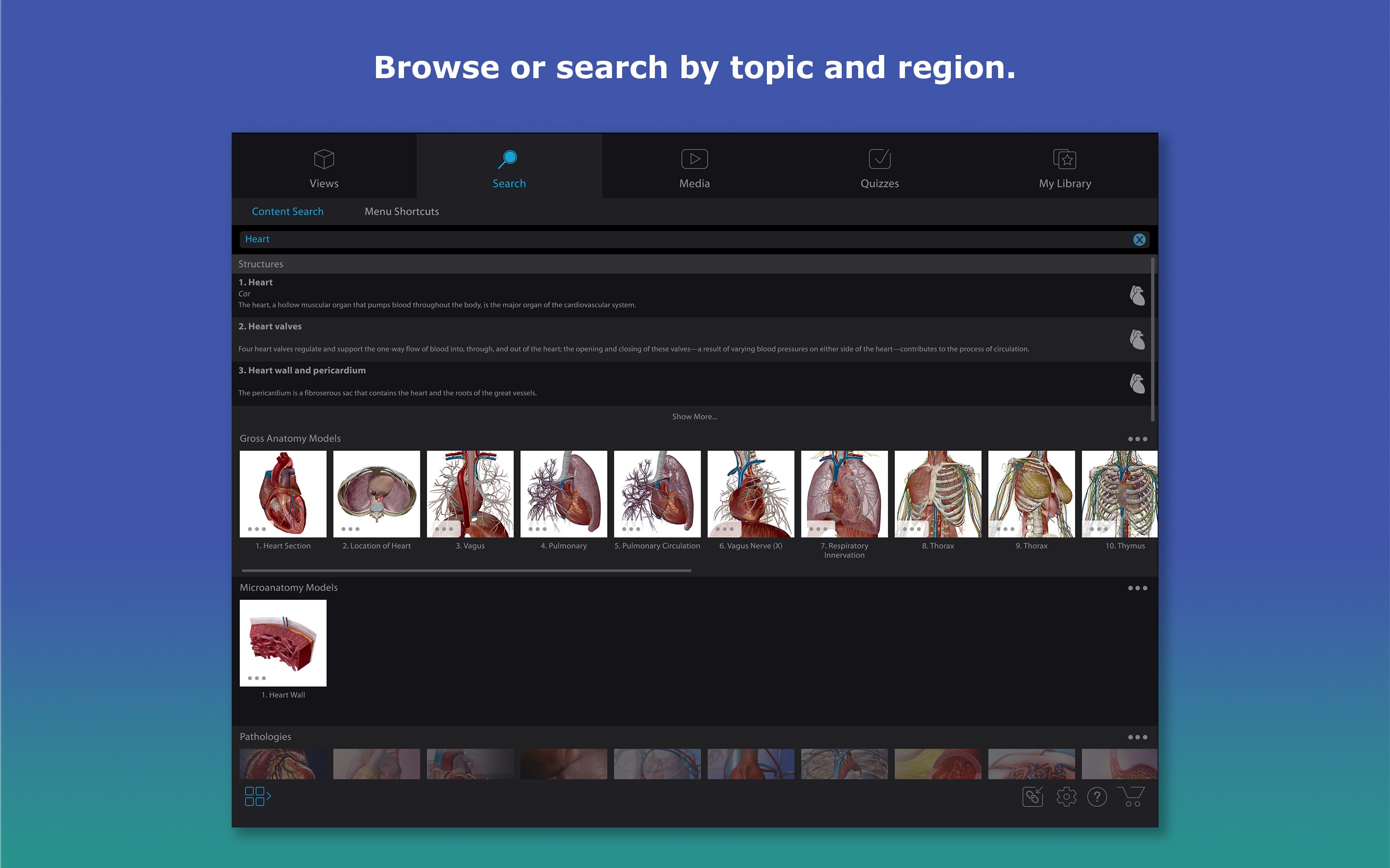 Human Anatomy Atlas 2026: Complete 3D Human Body