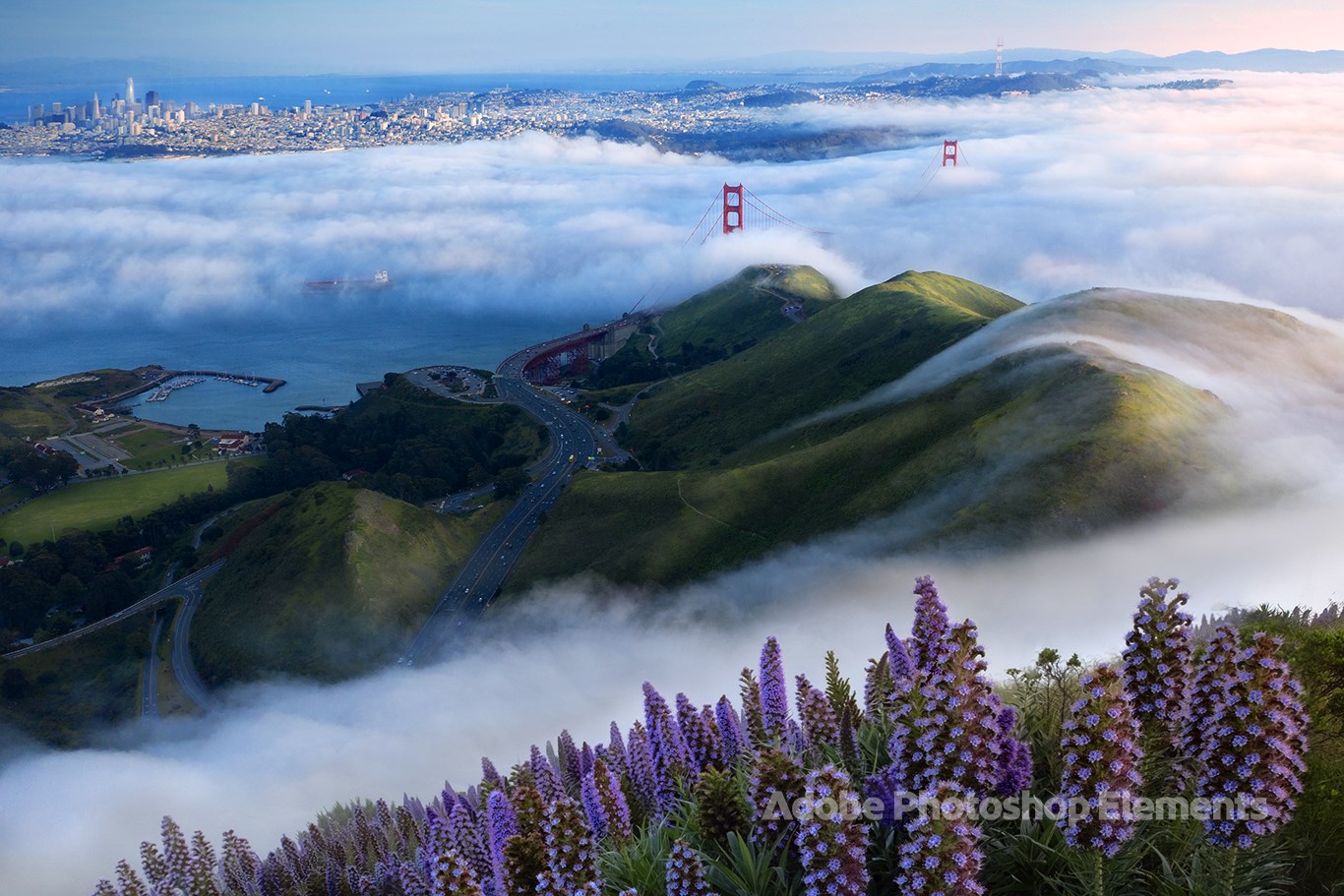 Nature Theme by Adobe Photoshop Elements