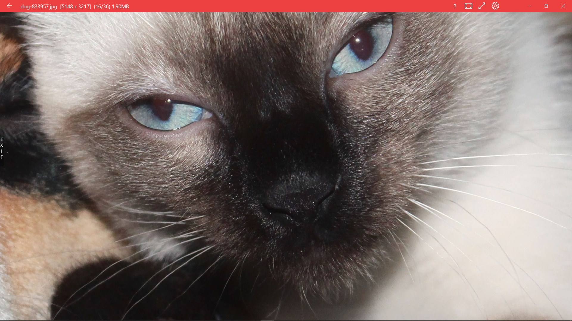 123 Photos: View, Edit & Convert