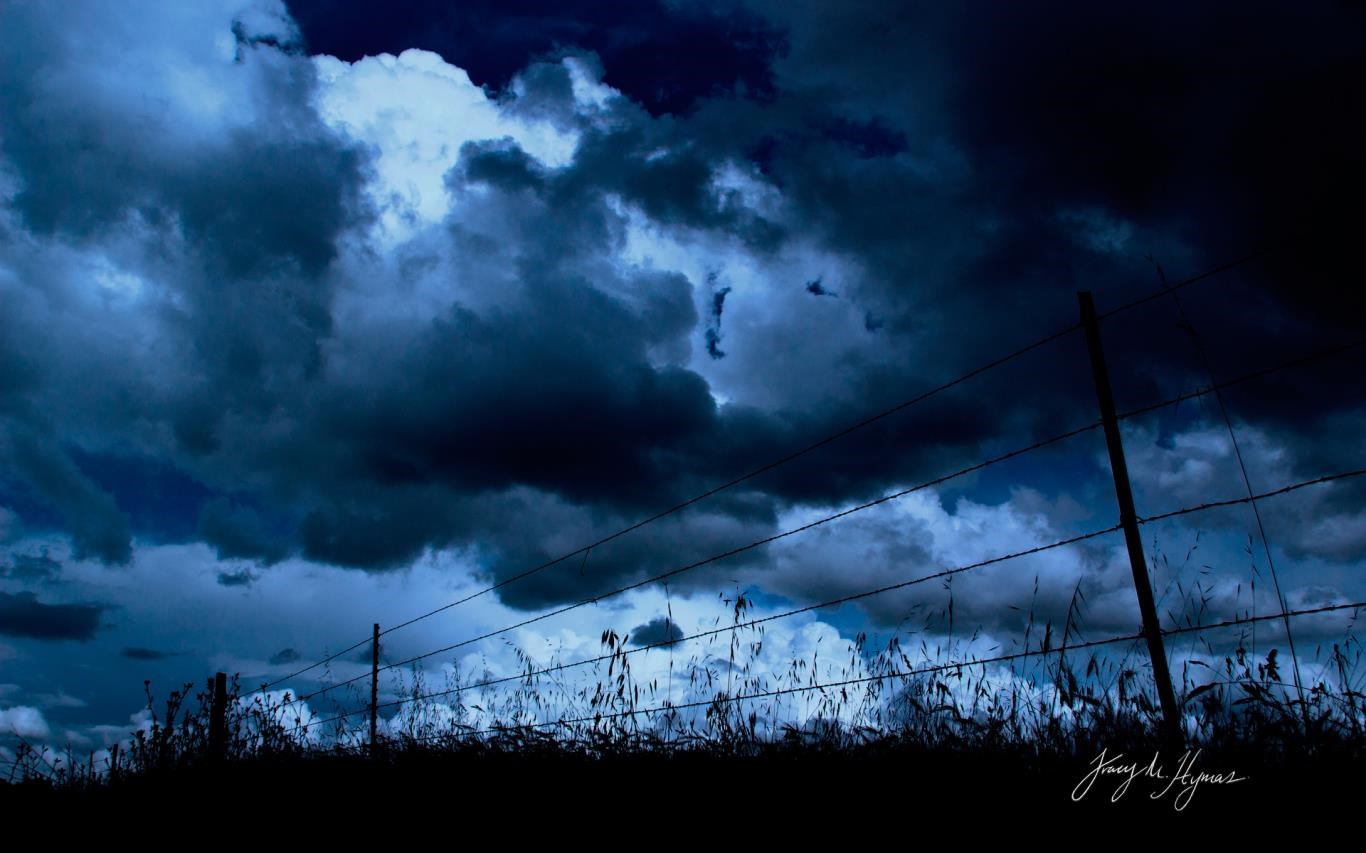 Dark Skies by Tracy Hymas