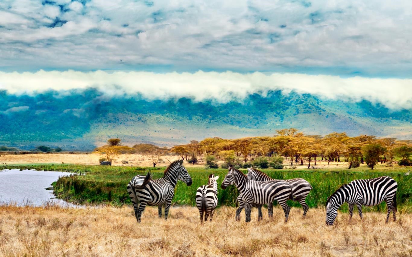 World National Parks