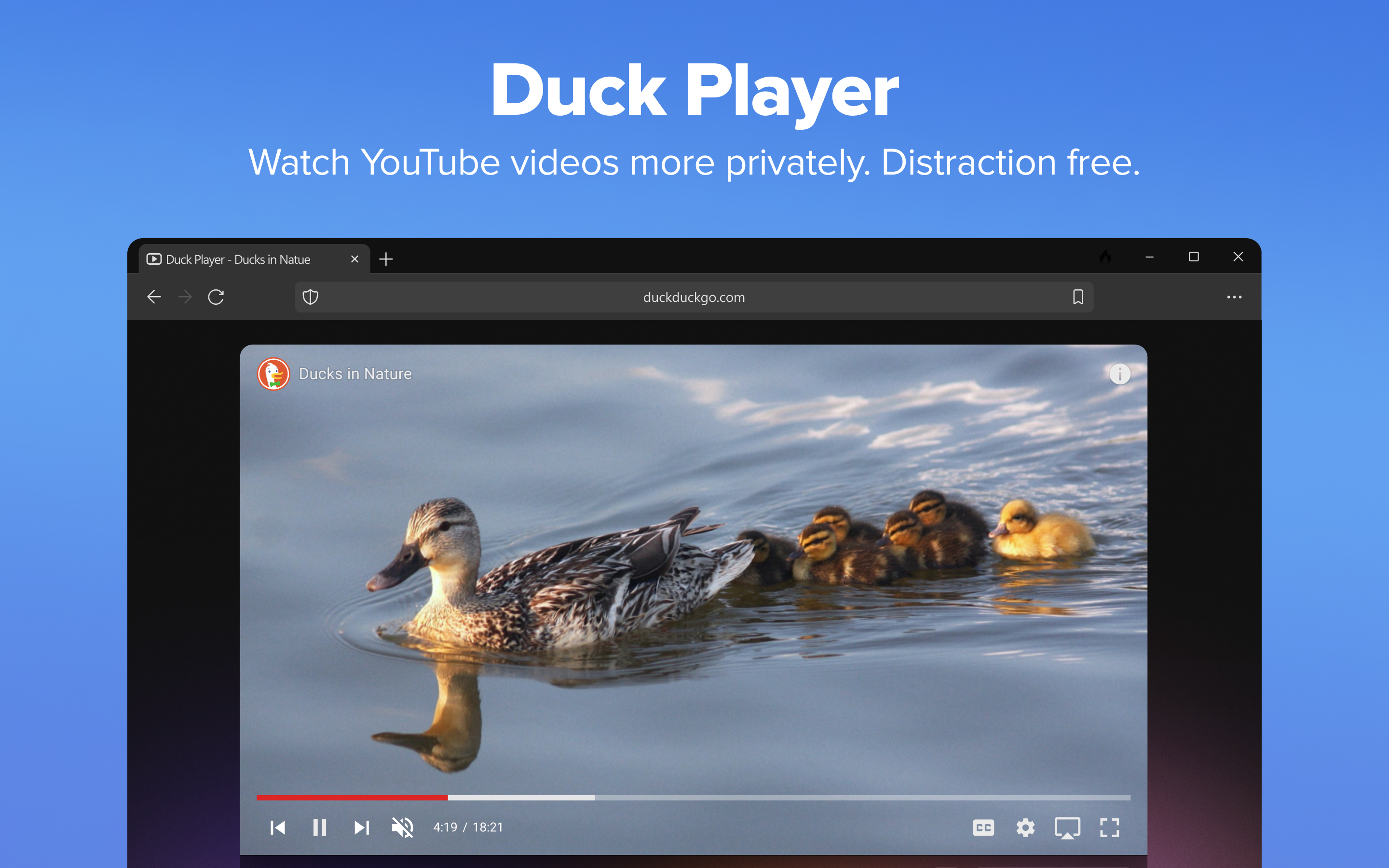 DuckDuckGo, Duck.ai (optional)