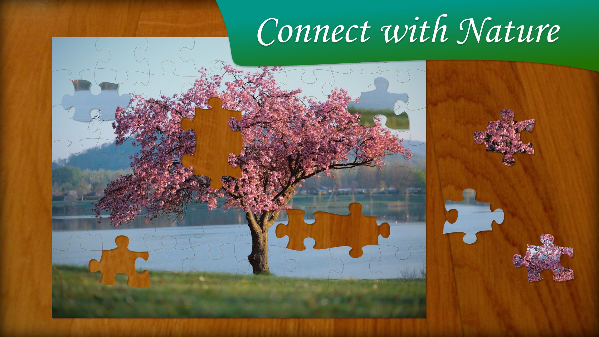 Jigsaw Puzzle Nature