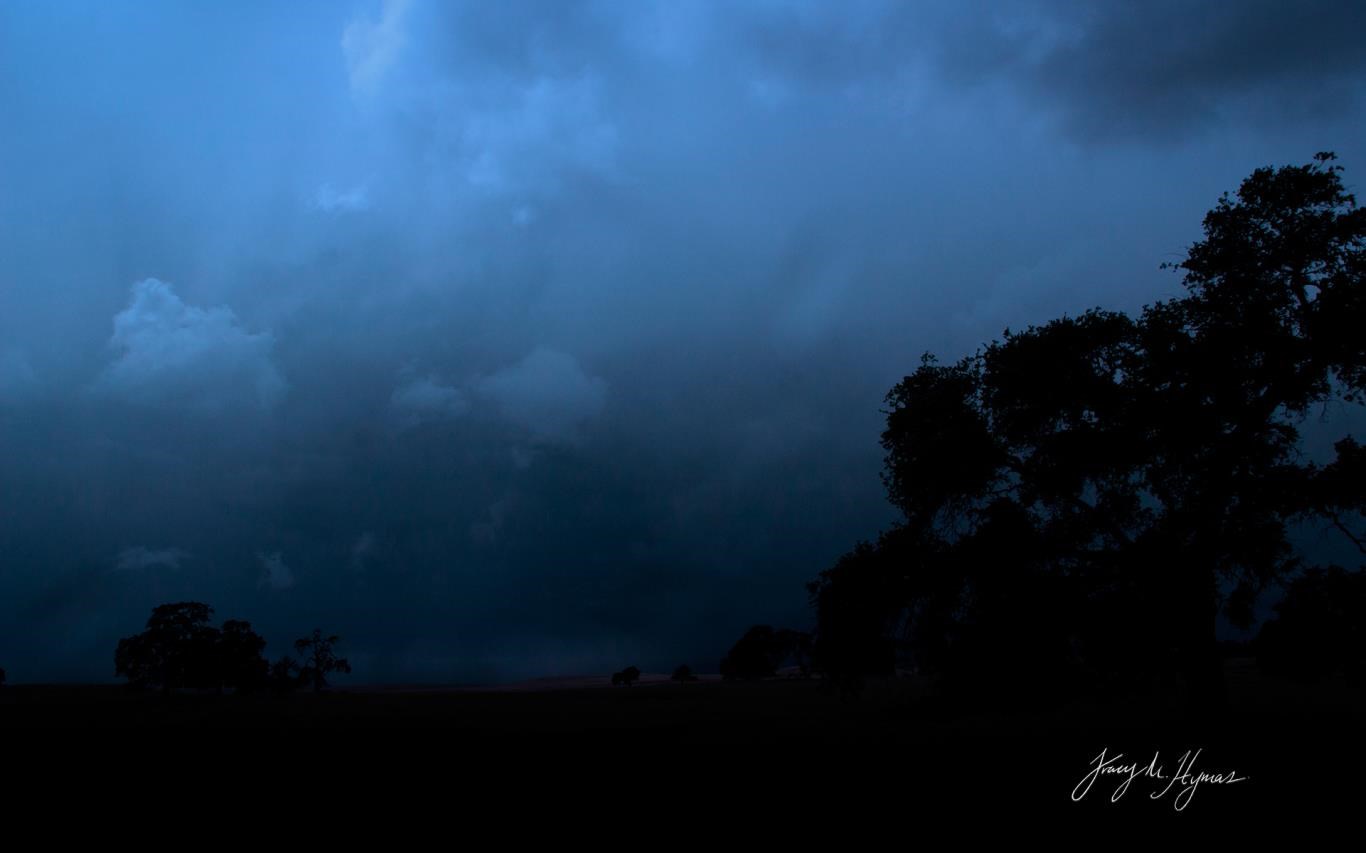 Dark Skies by Tracy Hymas