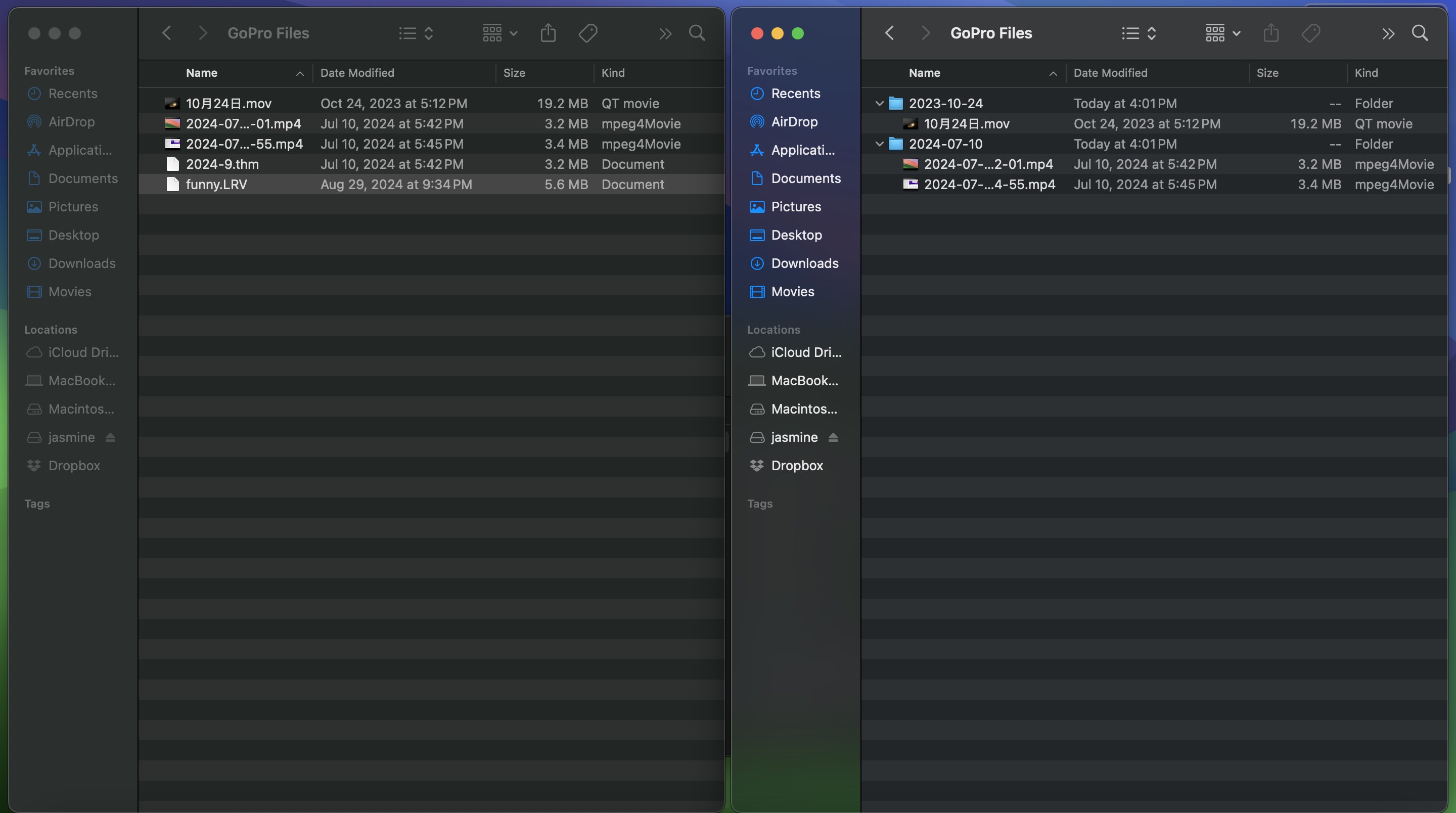 Organize GoPro Files