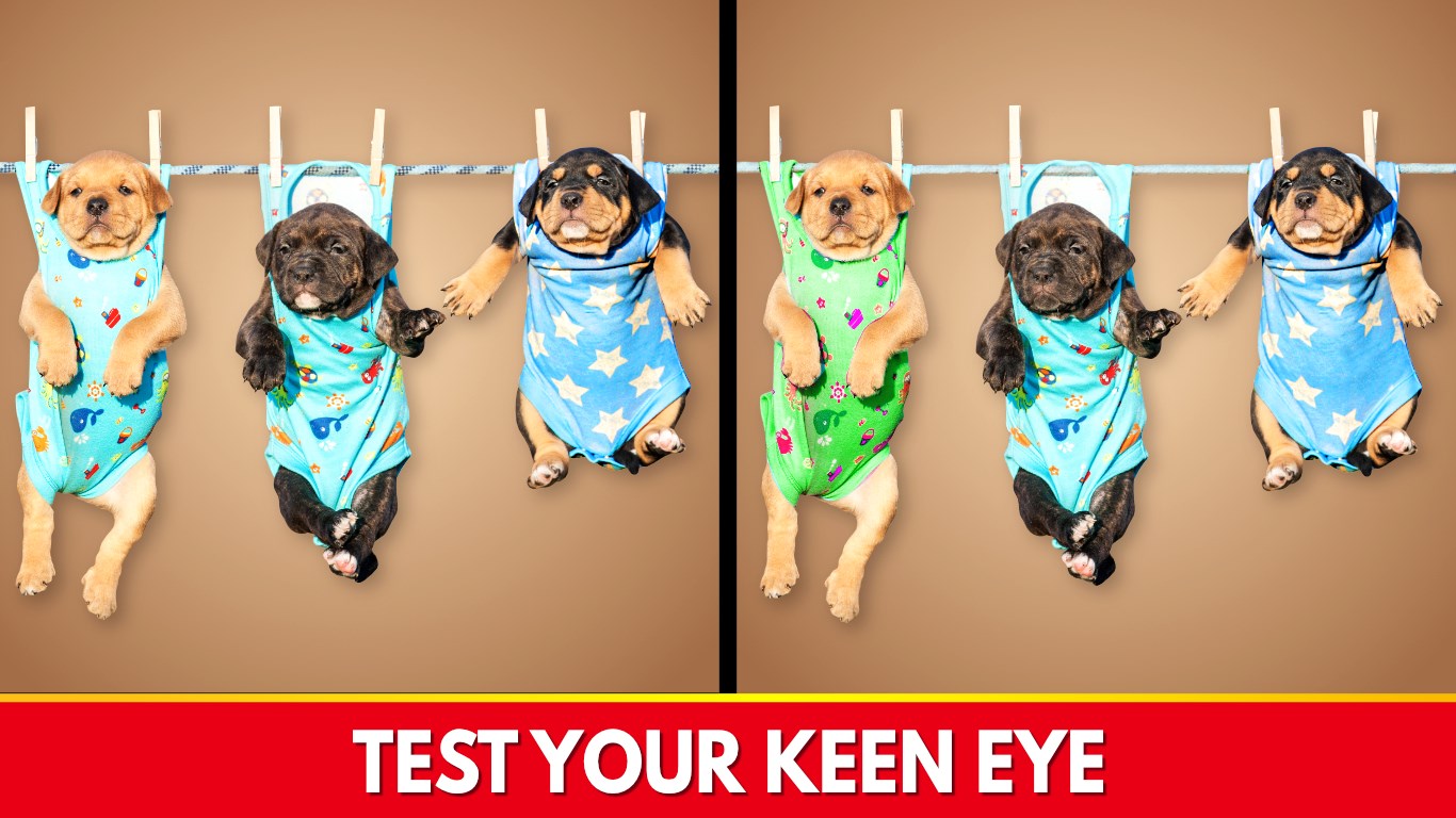 Find The Differences - Spot it