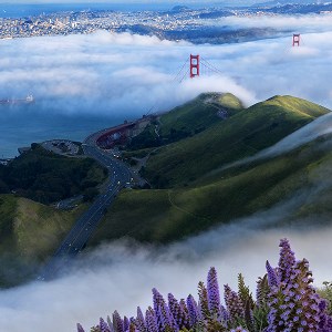 Nature Theme by Adobe Photoshop Elements